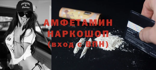 сатива Армянск