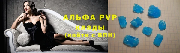 стафф Арсеньев