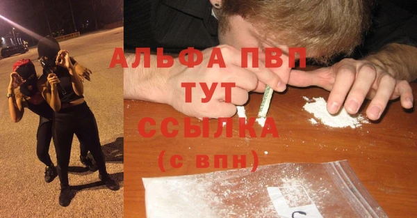 сатива Армянск