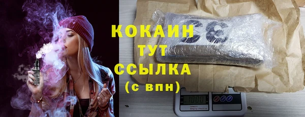 стафф Арсеньев